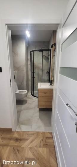 Do wynajęcia lokal mieszkalny 28,  20 m2 w Rymanowie.