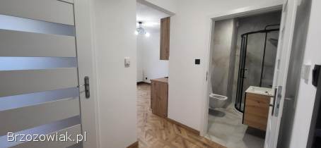 Do wynajęcia lokal mieszkalny 28,  20 m2 w Rymanowie.