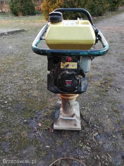 Skoczek Ubijak Stopa