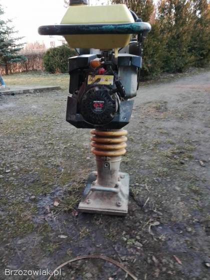 Skoczek Ubijak Stopa