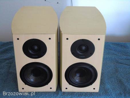 Duńskie kolumny Dantax Century 2 x 100 wat.  sprawne.  WYSYŁKA