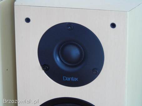 Duńskie kolumny Dantax Century 2 x 100 wat.  sprawne.  WYSYŁKA