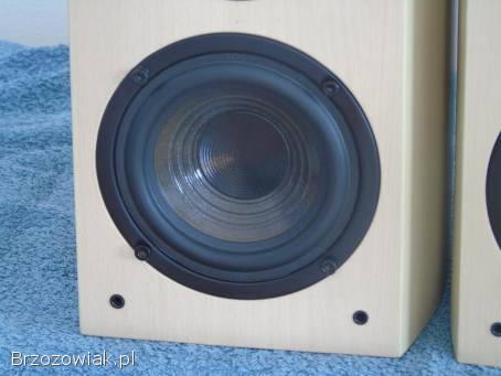 Duńskie kolumny Dantax Century 2 x 100 wat.  sprawne.  WYSYŁKA