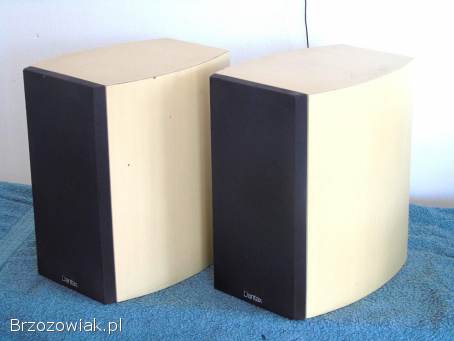 Duńskie kolumny Dantax Century 2 x 100 wat.  sprawne.  WYSYŁKA