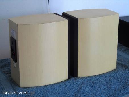 Duńskie kolumny Dantax Century 2 x 100 wat.  sprawne.  WYSYŁKA