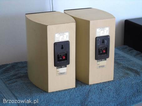 Duńskie kolumny Dantax Century 2 x 100 wat.  sprawne.  WYSYŁKA