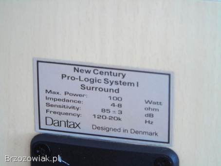 Duńskie kolumny Dantax Century 2 x 100 wat.  sprawne.  WYSYŁKA