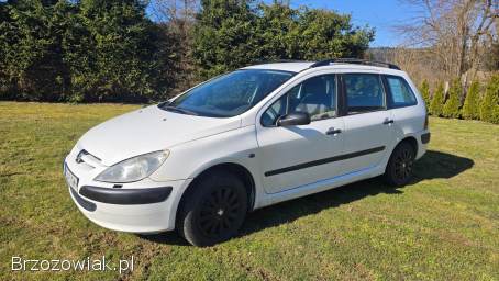 Peugeot 307 Sw 2002