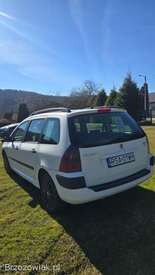 Peugeot 307 Sw 2002