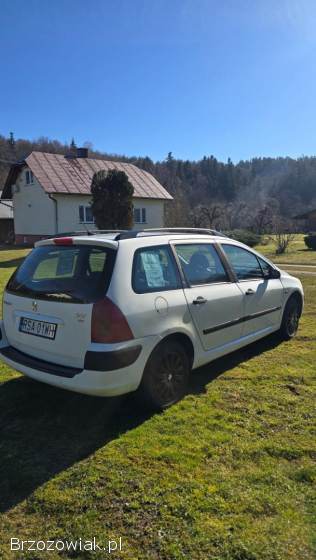 Peugeot 307 Sw 2002