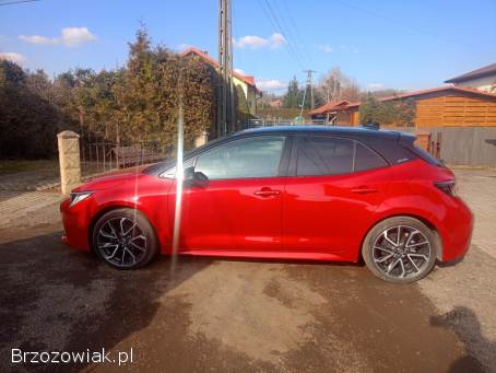 Toyota Corolla E21 2019