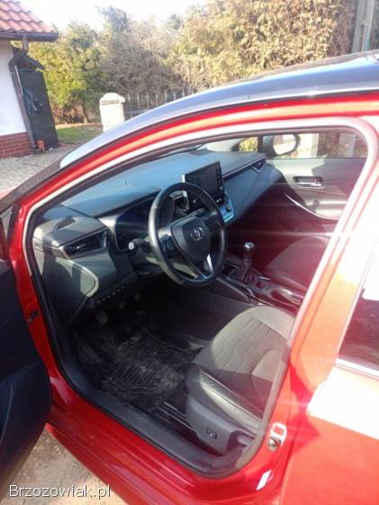 Toyota Corolla E21 2019