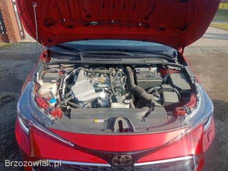 Toyota Corolla E21 2019