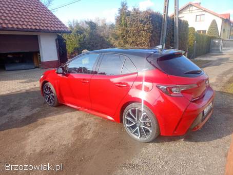 Toyota Corolla E21 2019