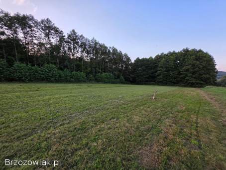 Działki z warunkami zabudowy na sprzedaż w miejscowości Grabownica Starzeńska.