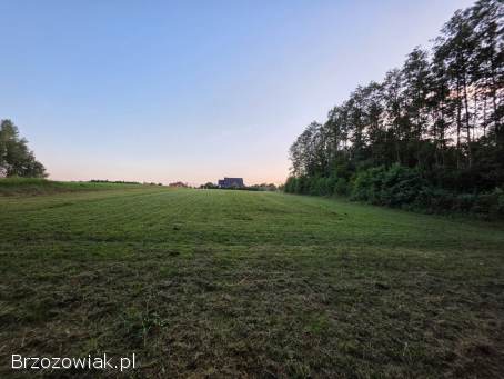 Działki z warunkami zabudowy na sprzedaż w miejscowości Grabownica Starzeńska.