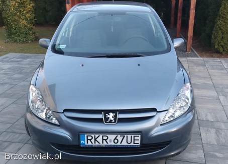 Peugeot 307 Hdi 2005