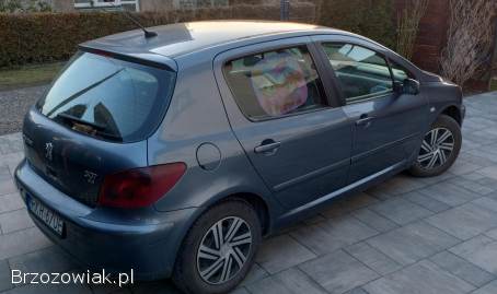 Peugeot 307 Hdi 2005