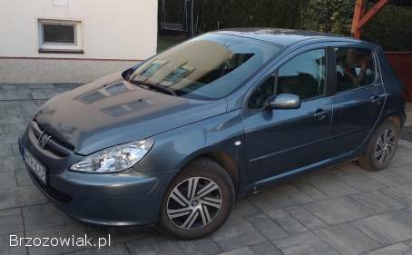 Peugeot 307 Hdi 2005