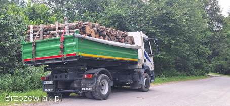 Koparka Usługi koparką 3t Kucie młotem Usługi transportowe wywrotkami
