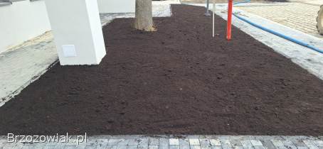 Ziemia ładna i gorsza.