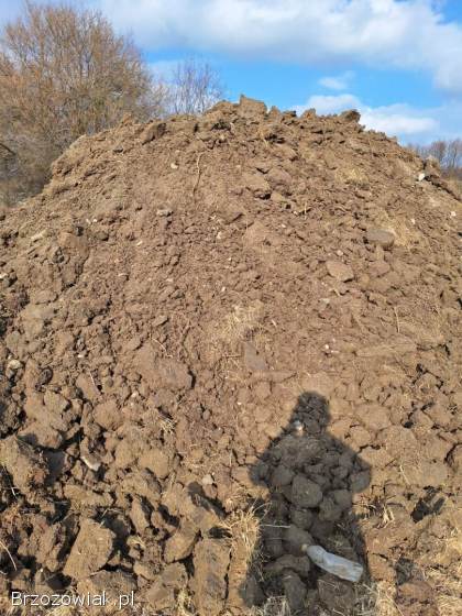 Ziemia ładna i gorsza.