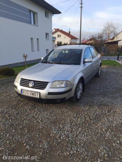VW Passat  2002