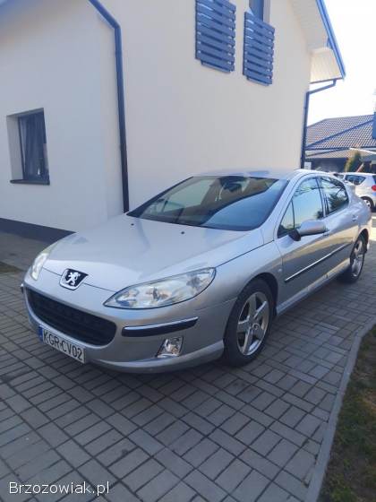 Peugeot 407 407 2004