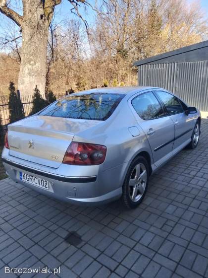Peugeot 407 407 2004