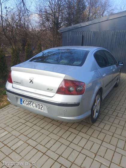 Peugeot 407 407 2004
