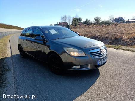 Opel Insignia 2.  0CDTI 160km 11 2011