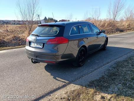 Opel Insignia 2.  0CDTI 160km 11 2011