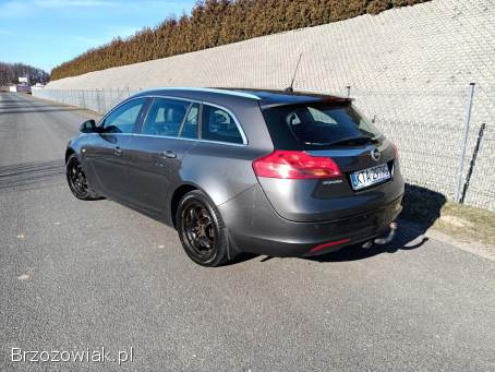 Opel Insignia 2.  0CDTI 160km 11 2011