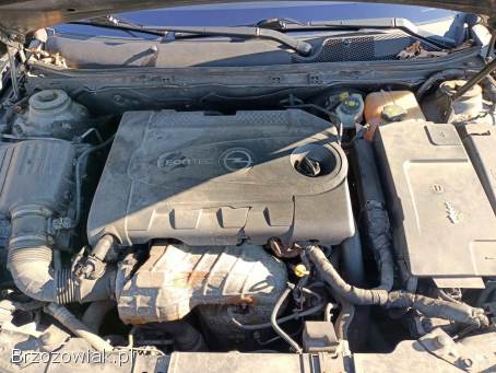 Opel Insignia 2.  0CDTI 160km 11 2011