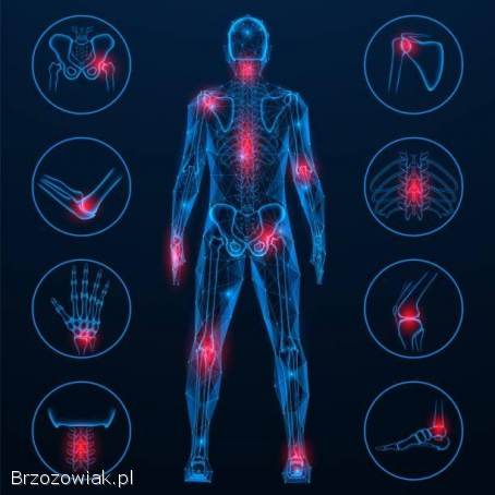 ZATRUDNIĘ FIZJOTERAPEUTĘ