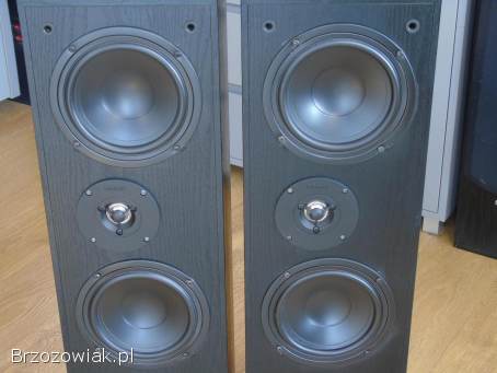 Śliczne kolumny Magnat Project 2x 180 wat.  DOSTAWA.