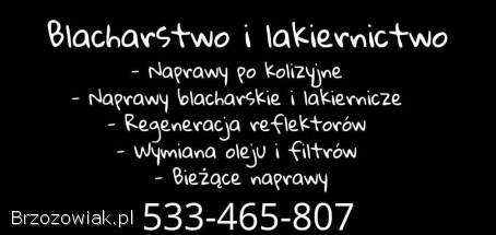 Blacharstwo i lakiernictwo