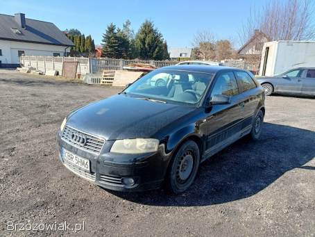 Audi A3 1.  9TDI 105km 04r 2004