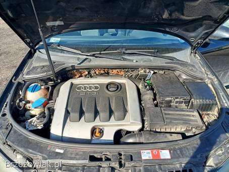 Audi A3 1.  9TDI 105km 04r 2004