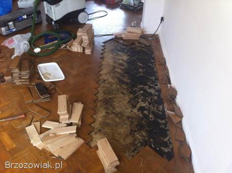 Cyklinowanie,  Układanie Parkietów i Paneli – Przywróć Blask Swojej Podłodze!  ✨