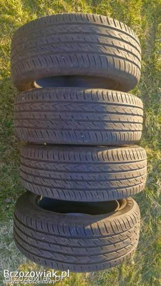 Opony letnie Viking ProTech NewGen 205/55/16 -  4 szt.