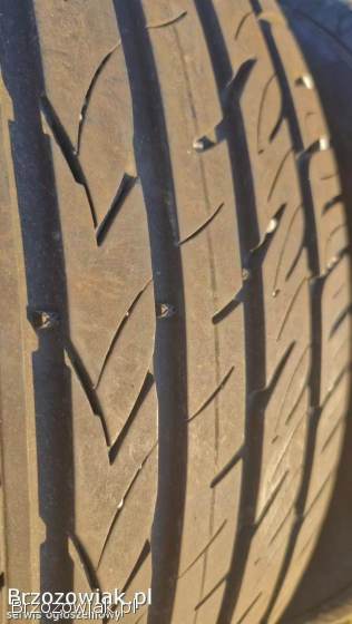 Opony letnie Viking ProTech NewGen 205/55/16 -  4 szt.