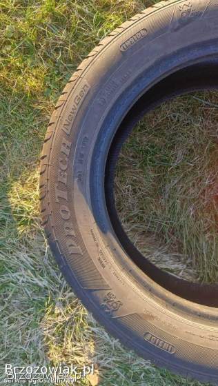 Opony letnie Viking ProTech NewGen 205/55/16 -  4 szt.