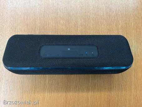 Głośnik Sony XB41