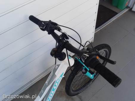 Rower dziecięcy Onilus Corso