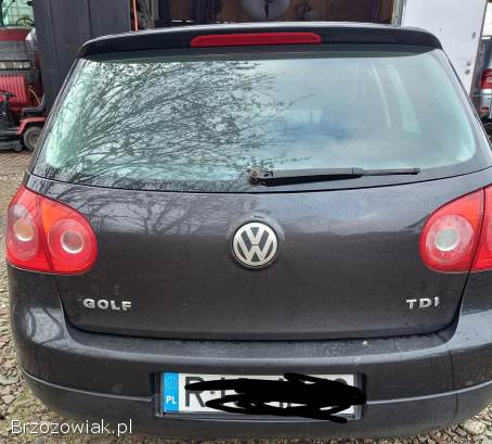 Volkswagen Golf V 2004