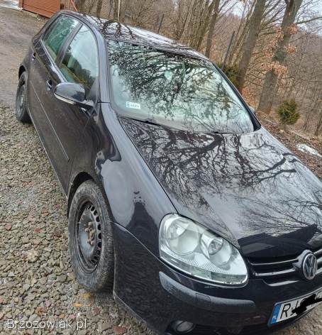 Volkswagen Golf V 2004