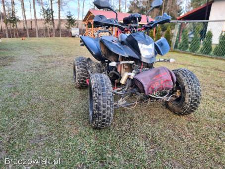 Bashan 250 Zarejestrowany