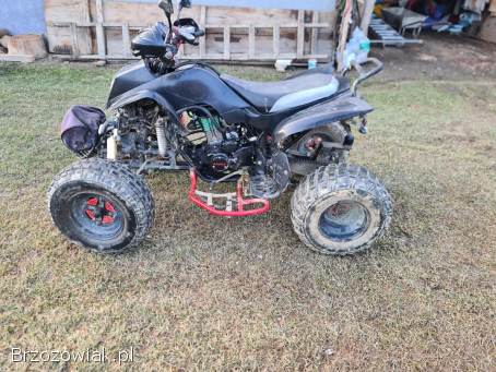 Bashan 250 Zarejestrowany