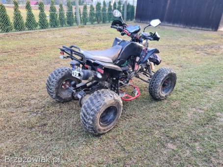 Bashan 250 Zarejestrowany